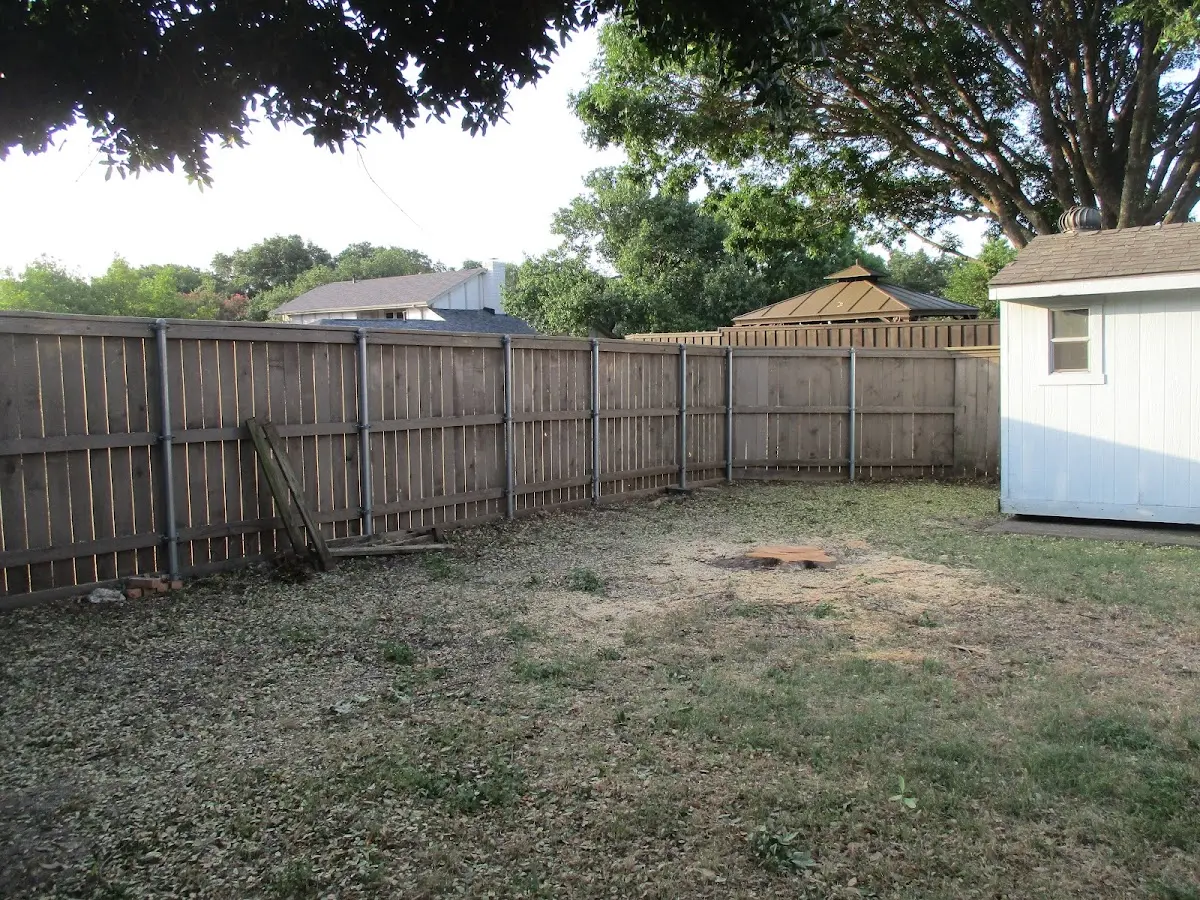 Cleared yard after professional tree removal in Beach Lake